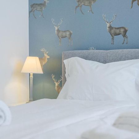 Renoviertes Apartment Mit Terrasse An Der Piste Mit Kostenlosen Wifi 카레자알라고 외부 사진